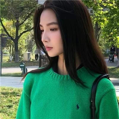鹤遗失的语言
